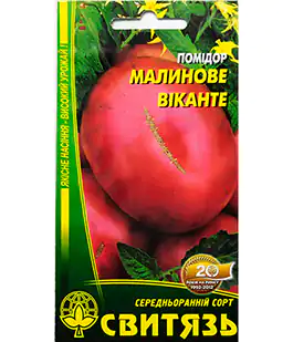 Томат Малиновое Викантэ
