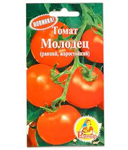 Томат Молодец