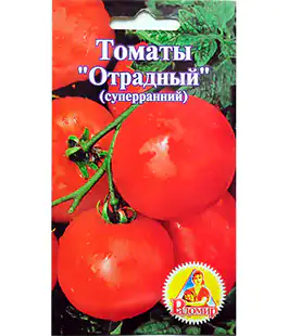 Томат Отрадный