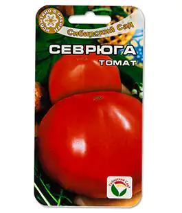 Изображение Томат Севрюга