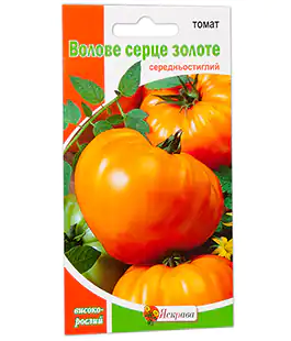 Томат Воловье сердце золотое