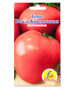 Томат Вождь Краснокожих