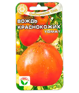 Томат Вождь краснокожих