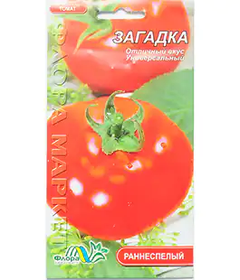Томат Загадка
