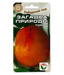 Томат Загадка природы