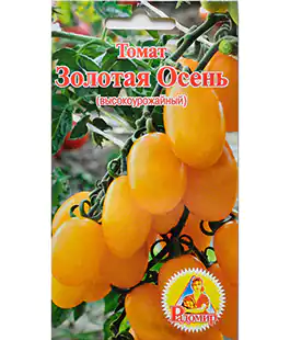 Томат Золотая Осень