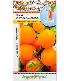 Томат Золотой самородок