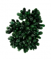 Изображение товара Тычинки мини темно-зеленые в сахаре 12шт