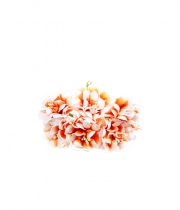 Изображение товара Хризантемы мини бело-оранжевые
