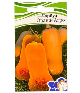 Тыква Оранж Агро