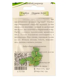 Тыква Оранж Агро