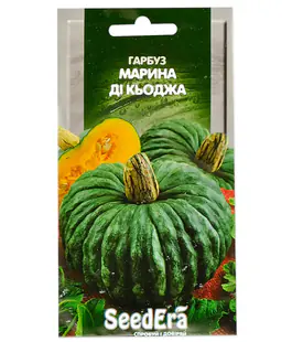 Тыква Марина ди Кьоджа