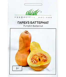Тыква Баттернат