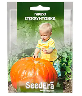 Тыква Стофунтовка