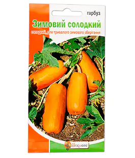 Тыква Зимняя сладкая
