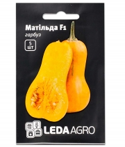 Гарбуз Матільда F1